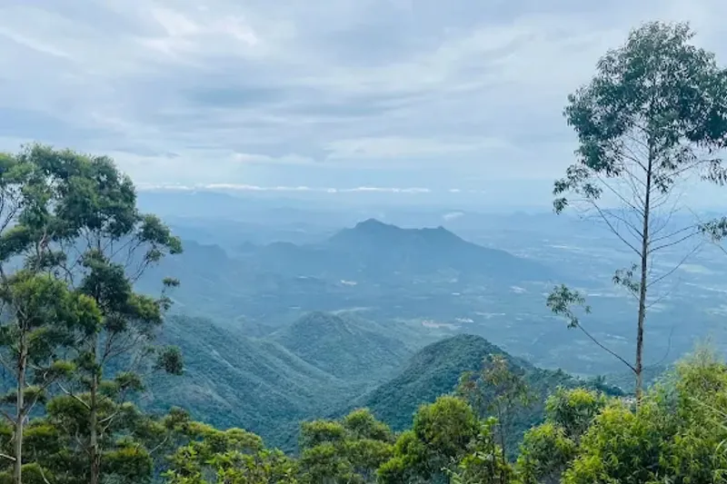 Scenic local attractions: Pine Forest Nature Trails & Village Walk near Whispering Pines Cottage Mukteshwar